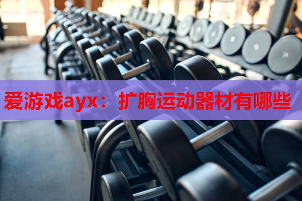 爱游戏ayx：扩胸运动器材有哪些