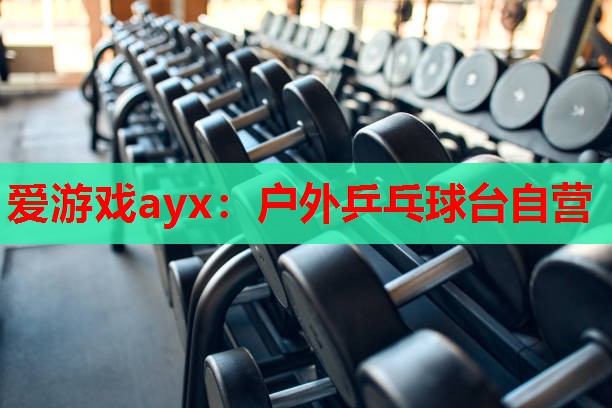 爱游戏ayx：户外乒乓球台自营