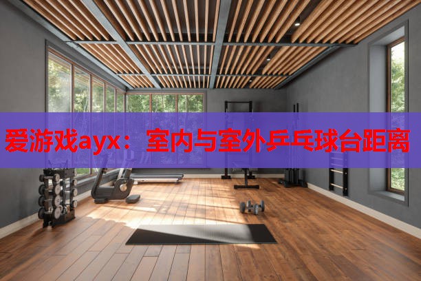 爱游戏ayx：室内与室外乒乓球台距离