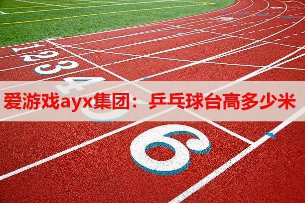 爱游戏ayx集团：乒乓球台高多少米