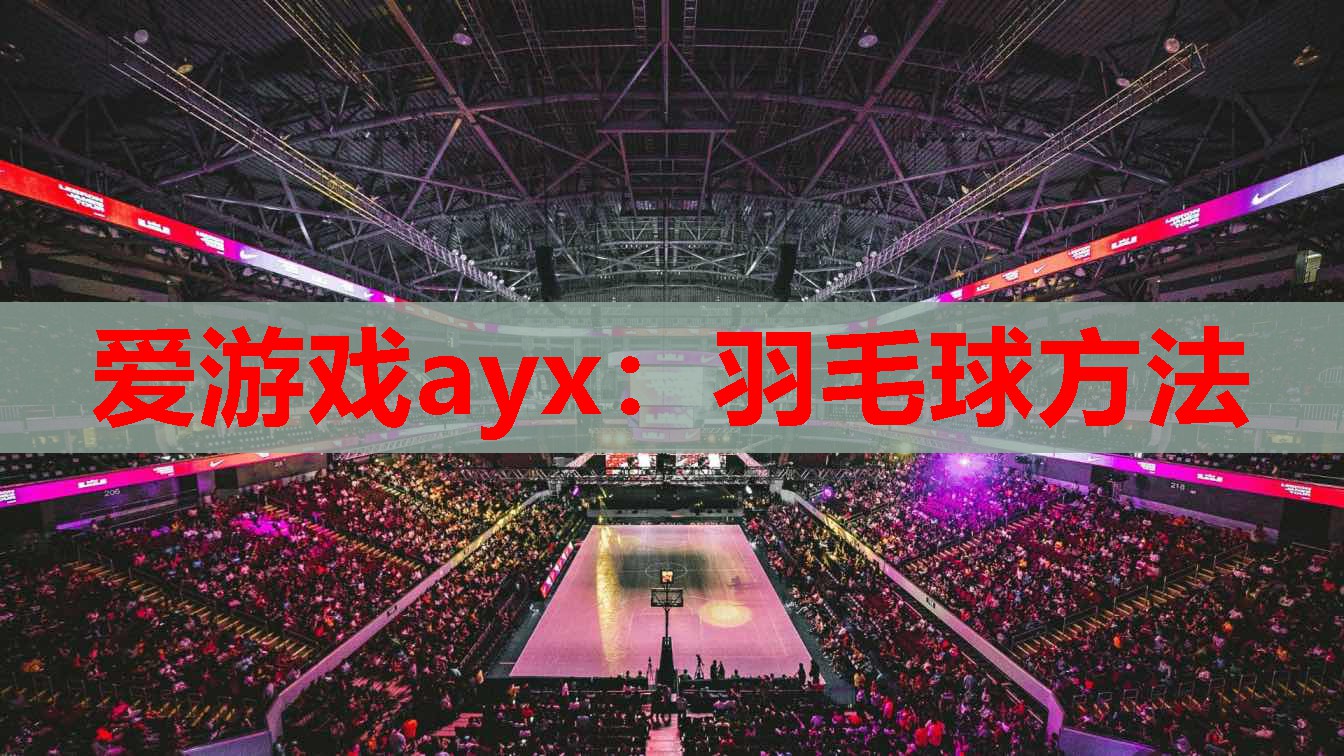 爱游戏ayx：羽毛球方法