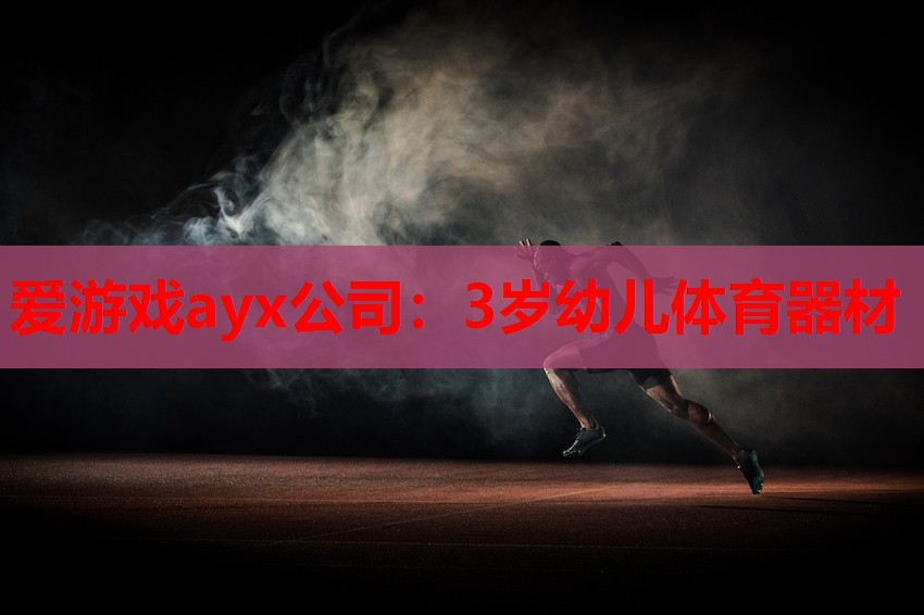 爱游戏ayx公司：3岁幼儿体育器材