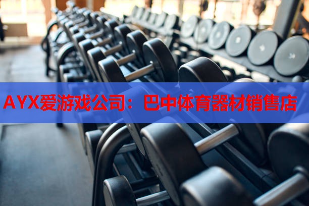 AYX爱游戏公司：巴中体育器材销售店