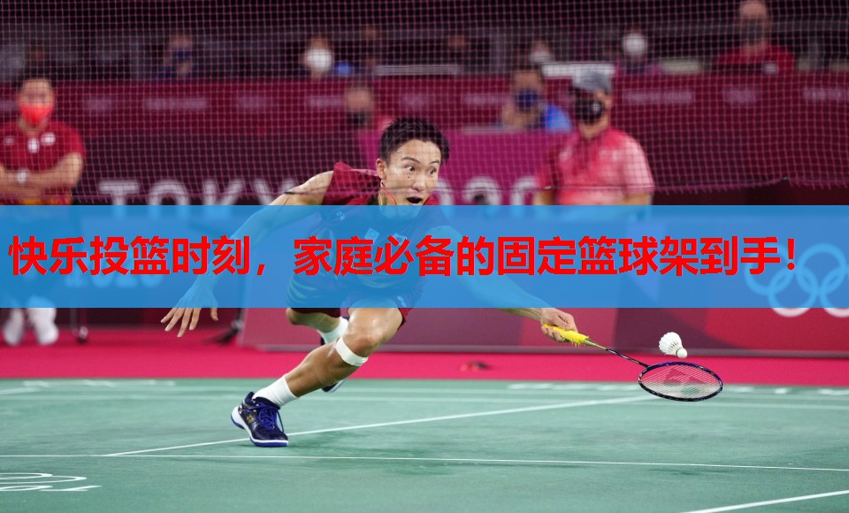 快乐投篮时刻，家庭必备的固定篮球架到手！