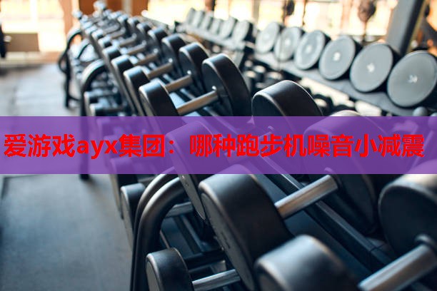 爱游戏ayx集团：哪种跑步机噪音小减震