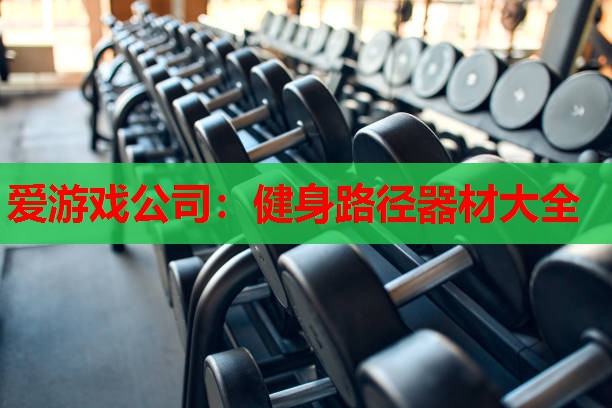 爱游戏公司：健身路径器材大全