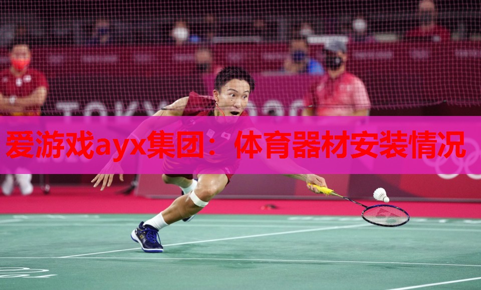 爱游戏ayx集团：体育器材安装情况