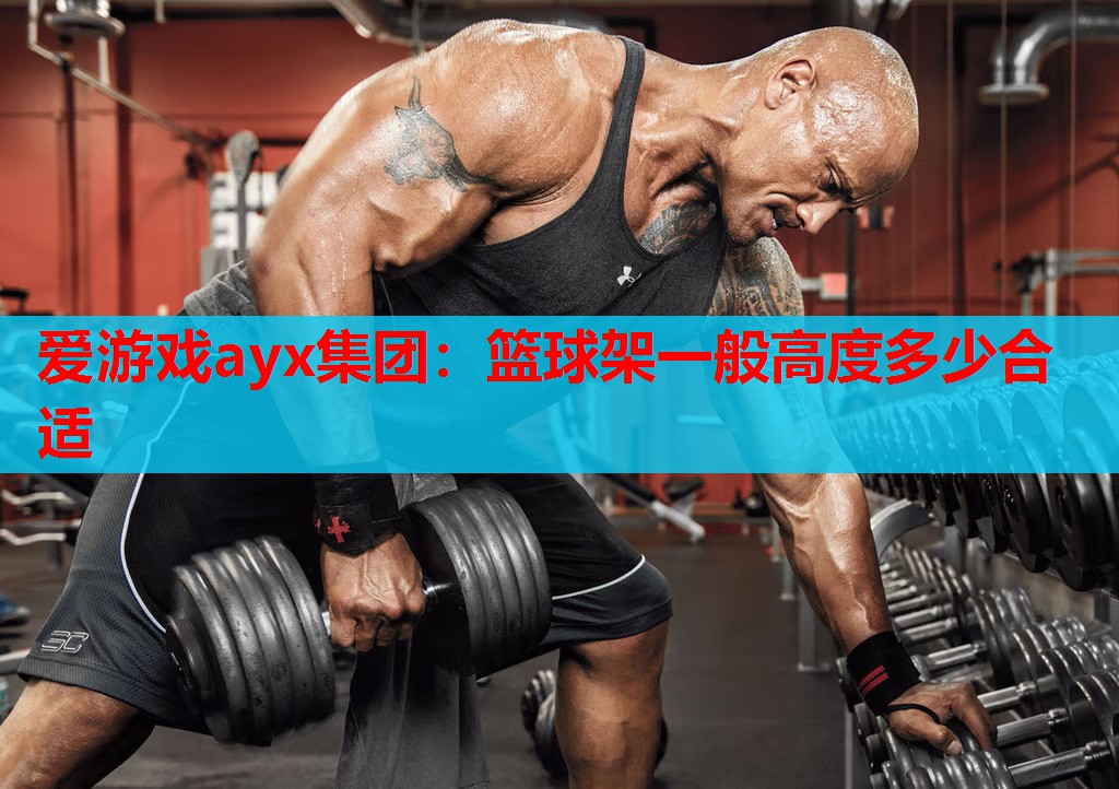 爱游戏ayx集团：篮球架一般高度多少合适