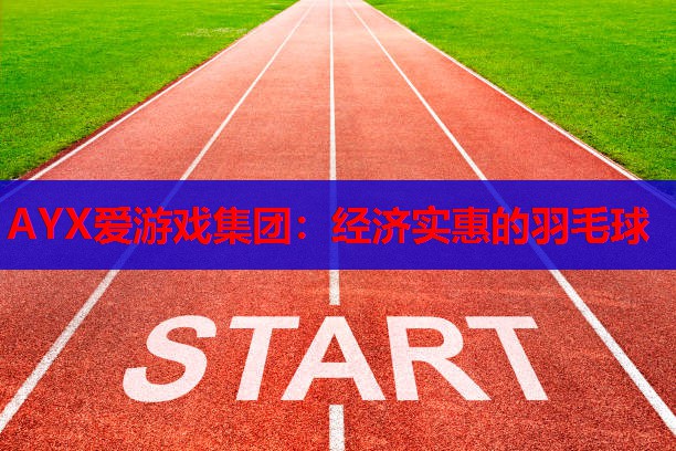AYX爱游戏集团：经济实惠的羽毛球
