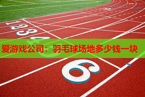 爱游戏公司：羽毛球场地多少钱一块