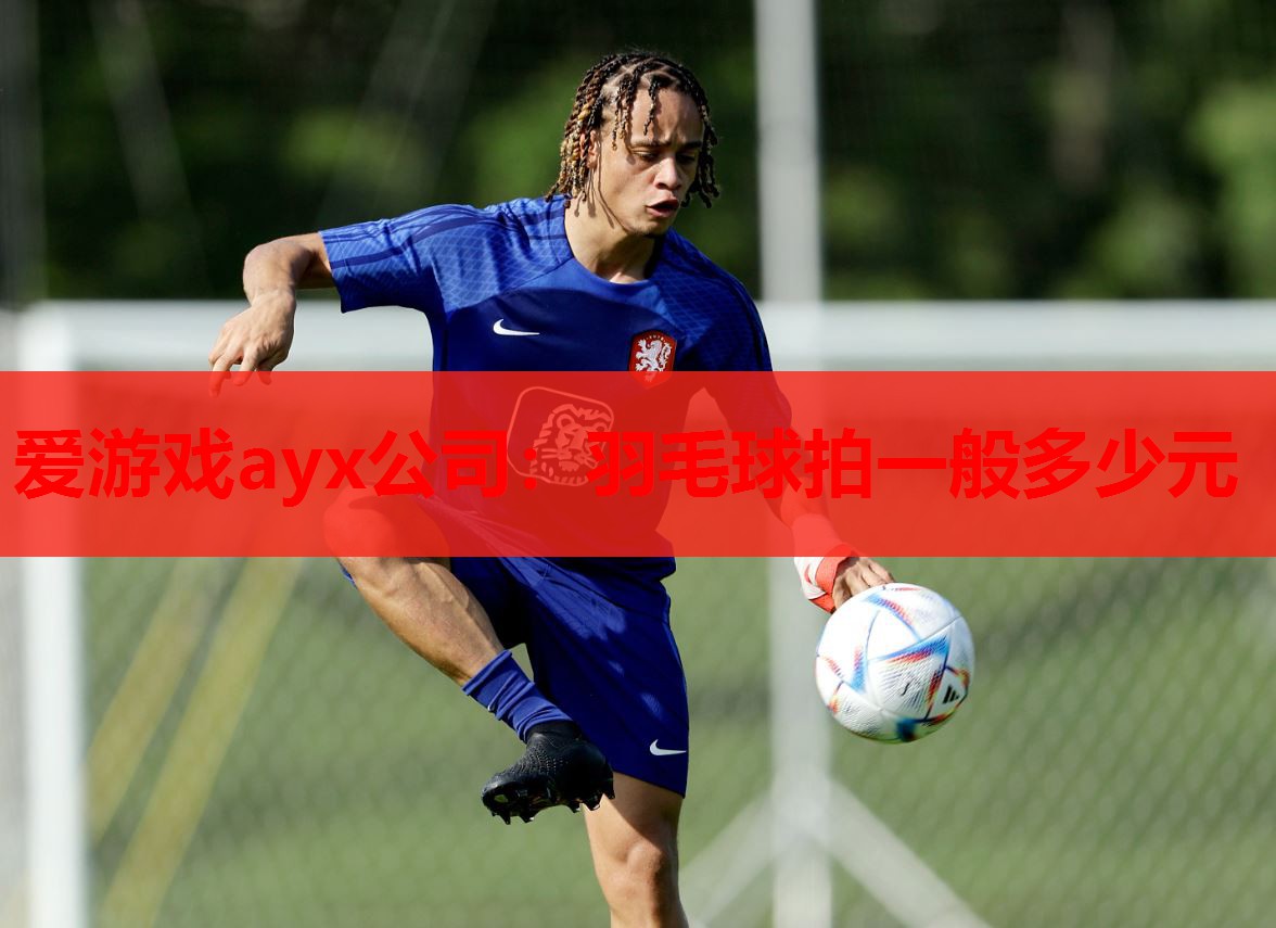 爱游戏ayx公司：羽毛球拍一般多少元