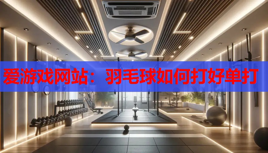 爱游戏网站：羽毛球如何打好单打