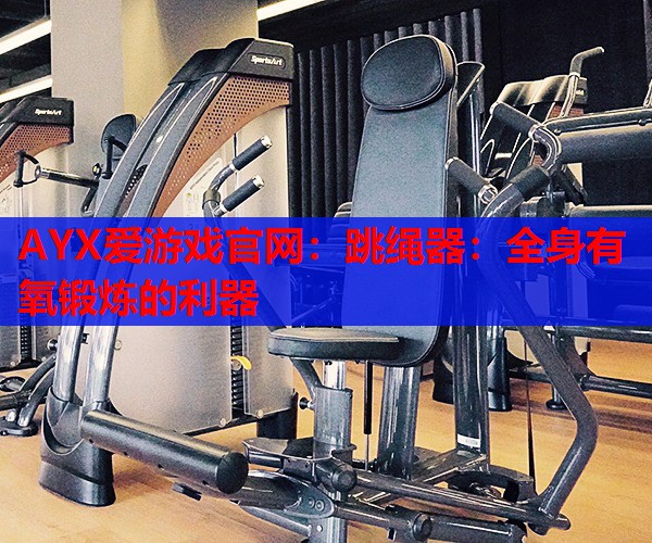 AYX爱游戏官网：跳绳器：全身有氧锻炼的利器