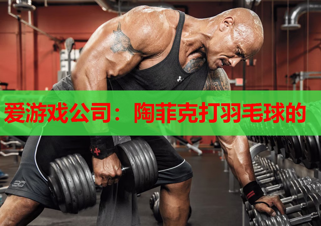 爱游戏公司：陶菲克打羽毛球的