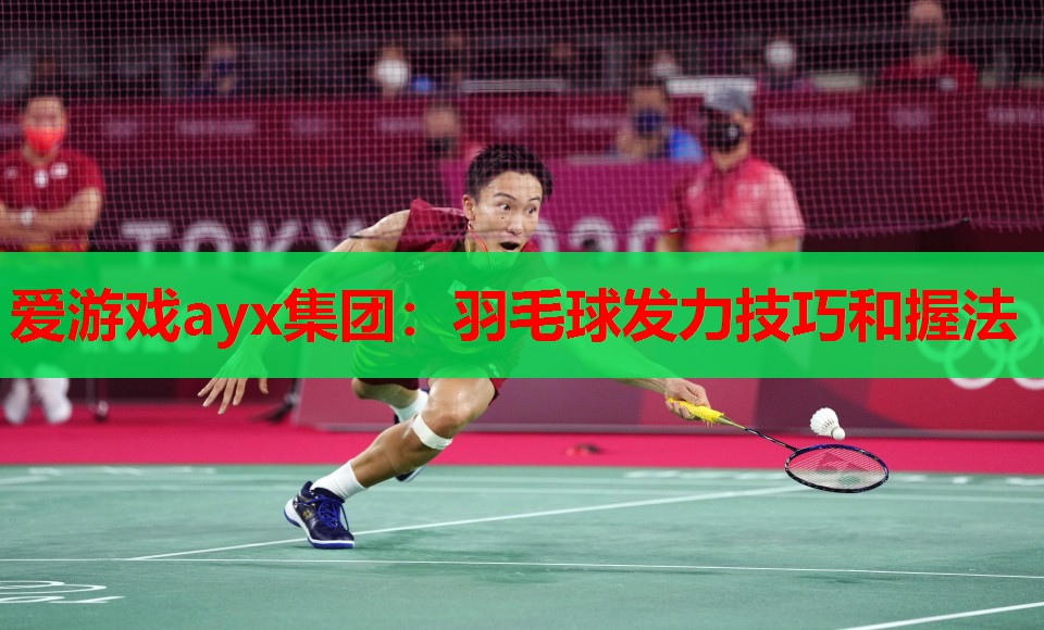 爱游戏ayx集团：羽毛球发力技巧和握法