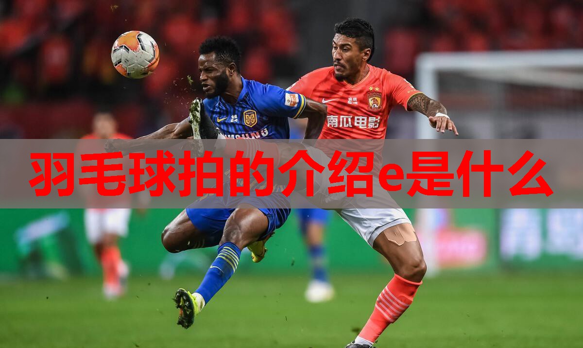羽毛球拍的介绍e是什么