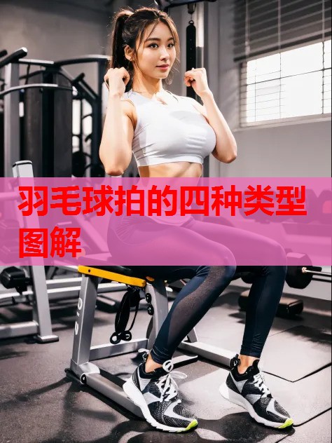羽毛球拍的四种类型图解