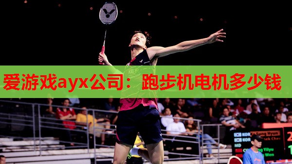 爱游戏ayx公司：跑步机电机多少钱