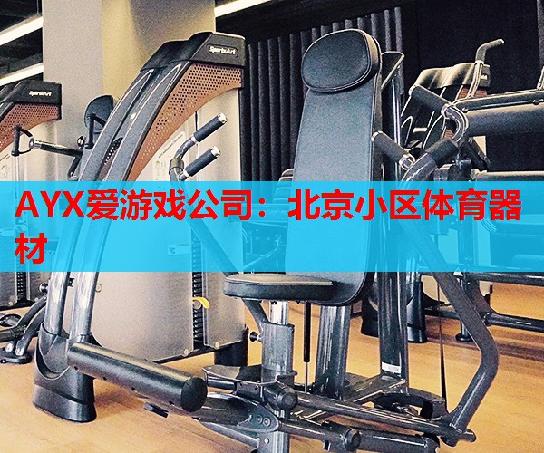 AYX爱游戏公司：北京小区体育器材