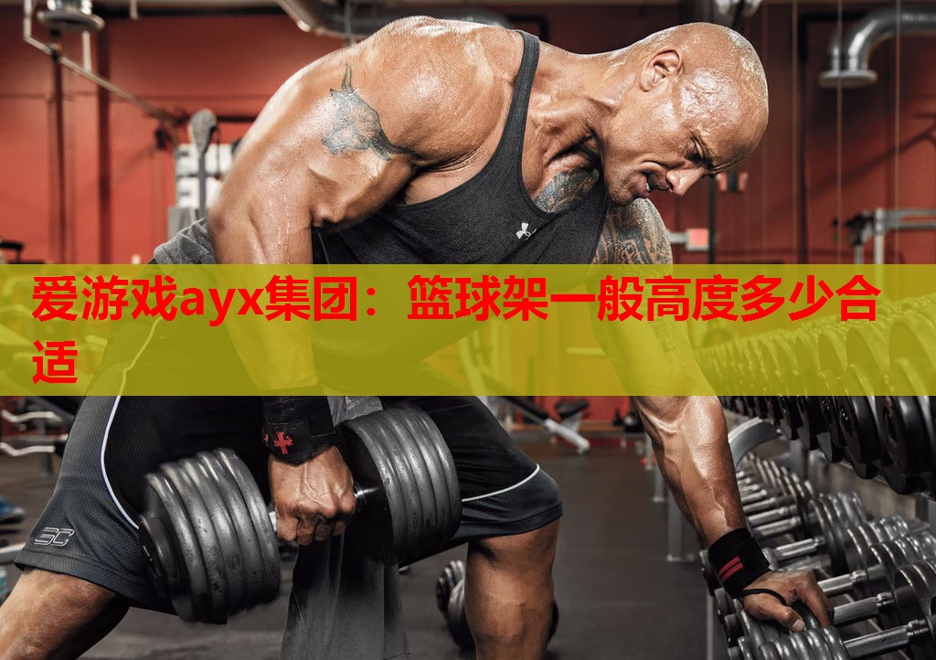 篮球架一般高度多少合适 篮球架一般高度多少合适