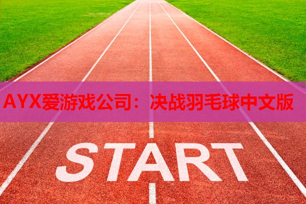 决战羽毛球中文版 决战羽毛球中文版