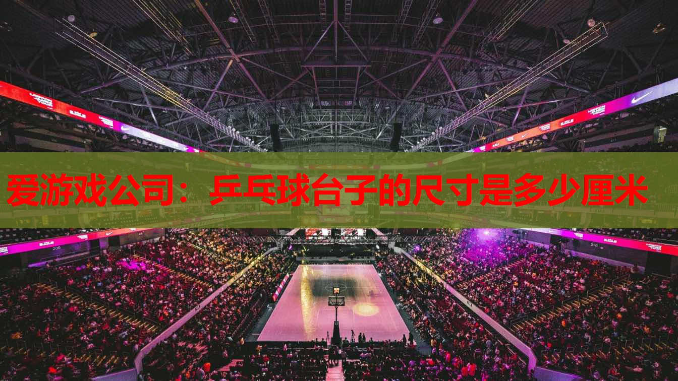 乒乓球台子的尺寸是多少厘米 乒乓球台子的尺寸是多少厘米