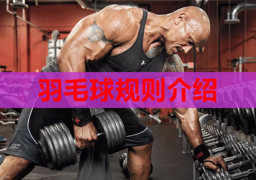 羽毛球规则介绍 羽毛球规则介绍