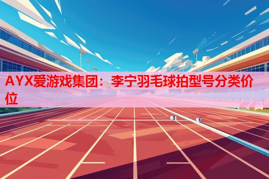 李宁羽毛球拍型号分类价位