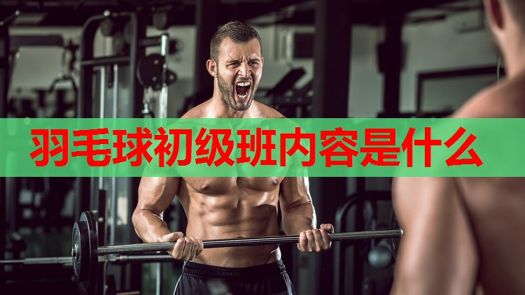 羽毛球初级班内容是什么 羽毛球初级班内容是什么