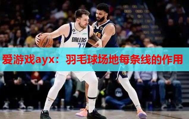 羽毛球场地每条线的作用 羽毛球场地每条线的作用