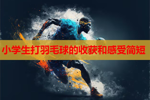 小学生打羽毛球的收获和感受简短 小学生打羽毛球的收获和感受简短