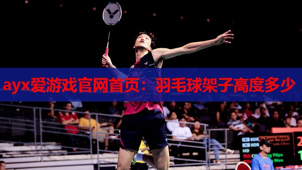 羽毛球架子高度多少 羽毛球架子高度多少