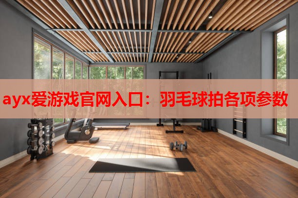 羽毛球拍各项参数 羽毛球拍各项参数