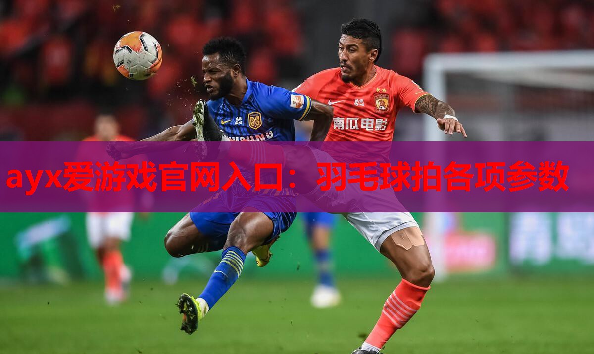 羽毛球拍各项参数 羽毛球拍各项参数